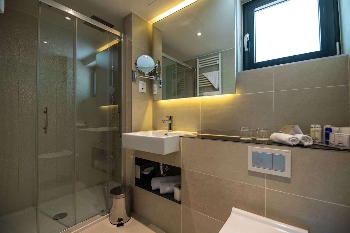 shower, free toiletries, hair dryer, towels