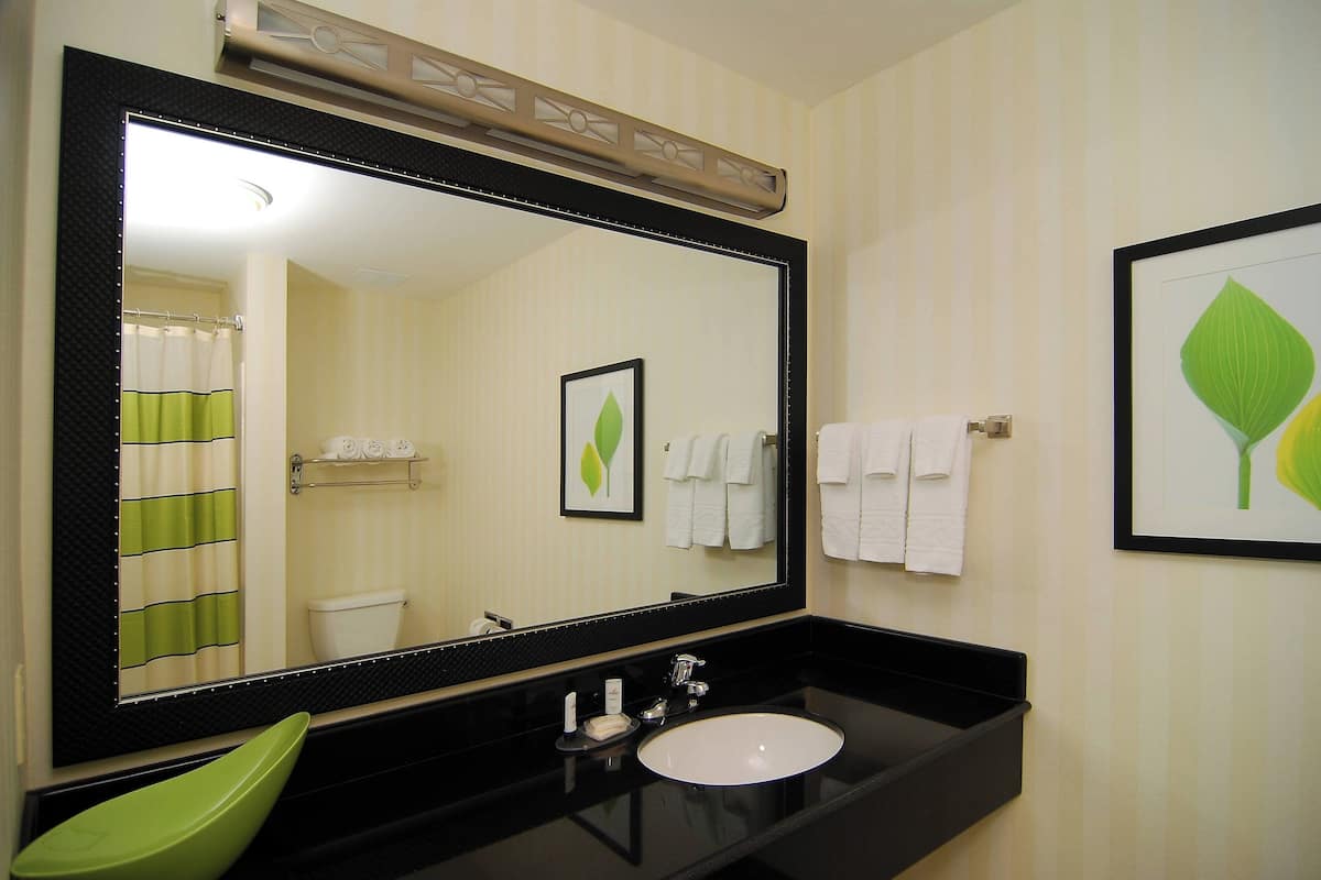 Un bany amb un mirall gran, una superfície de lavabo negra, un rentapeus verd i una obra d'art amb fulles emmarcades a la paret.