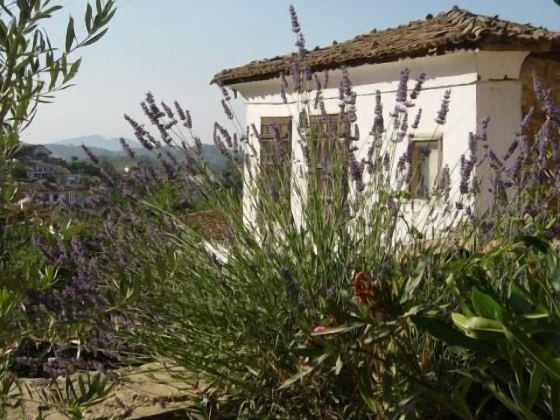Un edificio blanco con techo de tejas, rodeado de plantas de lavanda.
