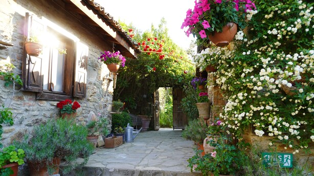 A stone pathway leading to a rustic building with potted plants and flowers. - Terrace Houses Sirince - Fig, Olive Clockmakers and Grapevine (Selçuk)