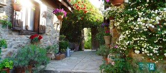 Terrace Houses Sirince - Fig, Olive Clockmakers and Grapevine