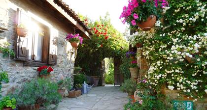 Terrace Houses Sirince - Fig, Olive Clockmakers and Grapevine