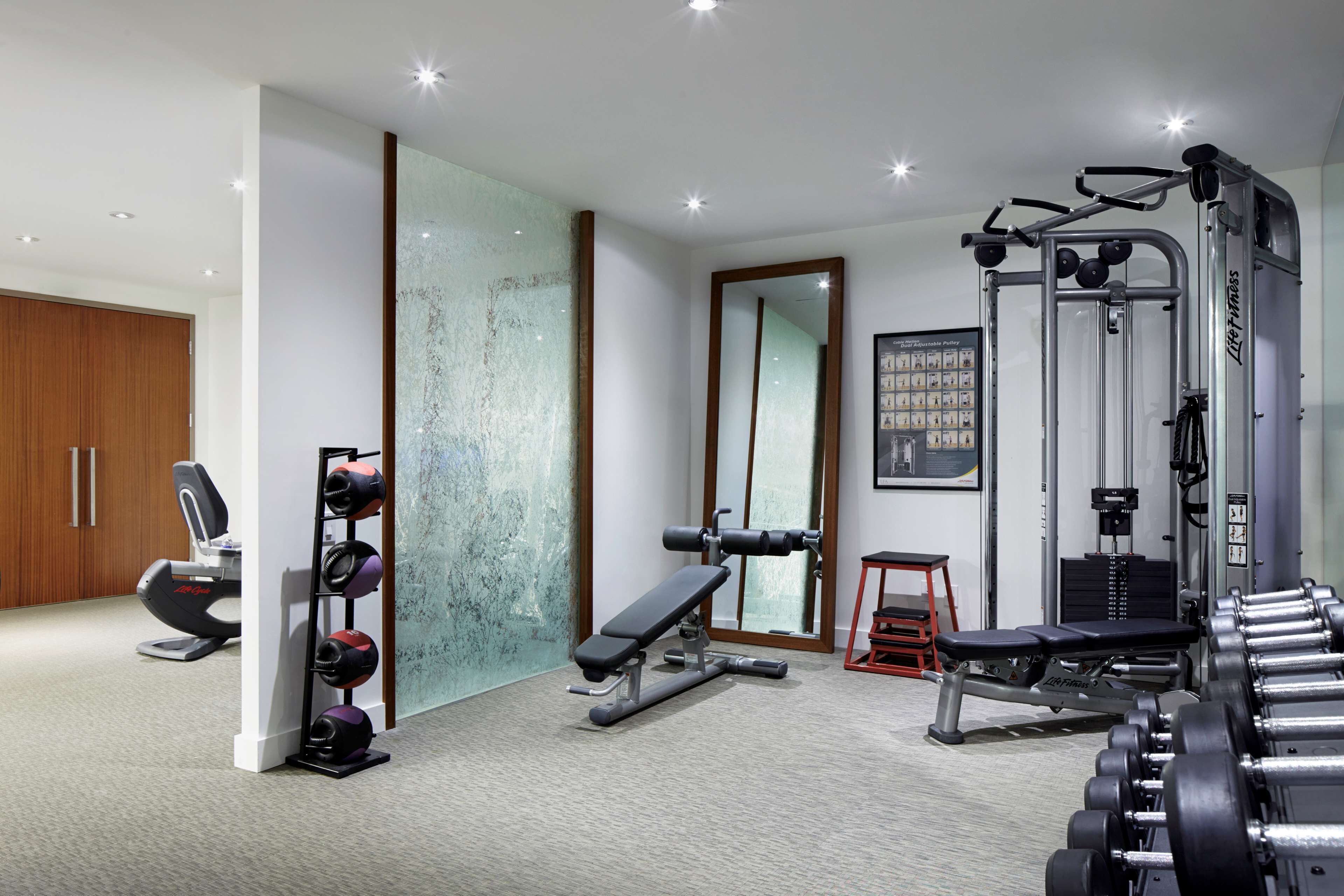 A modern gym with various exercise equipment, including a bench, dumbbells, and a weight machine.