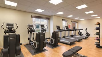 Uma academia com equipamentos de cardio, bancos de peso e uma estrutura com halteres.