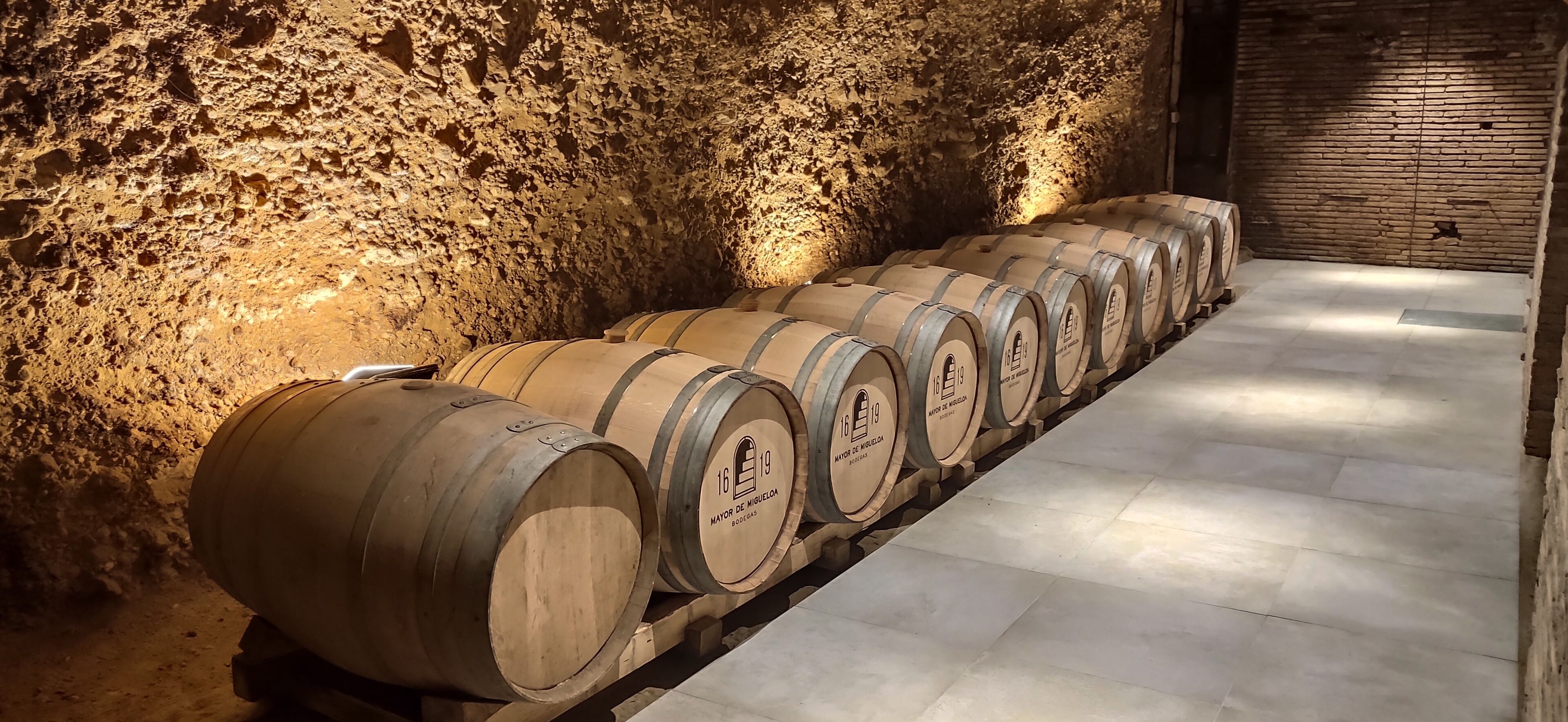 Wooden wine barrels lined up against a textured stone wall in a dimly lit cellar.