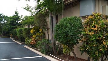 Houses line a quiet residential street surrounded by lush greenery and trees.