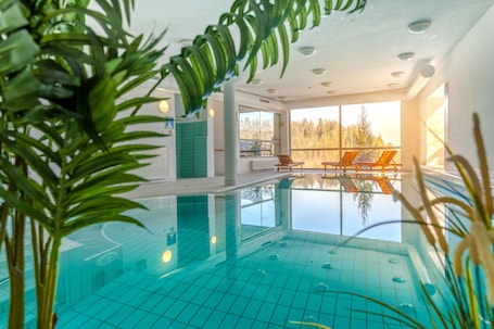Indoor pool, sun loungers