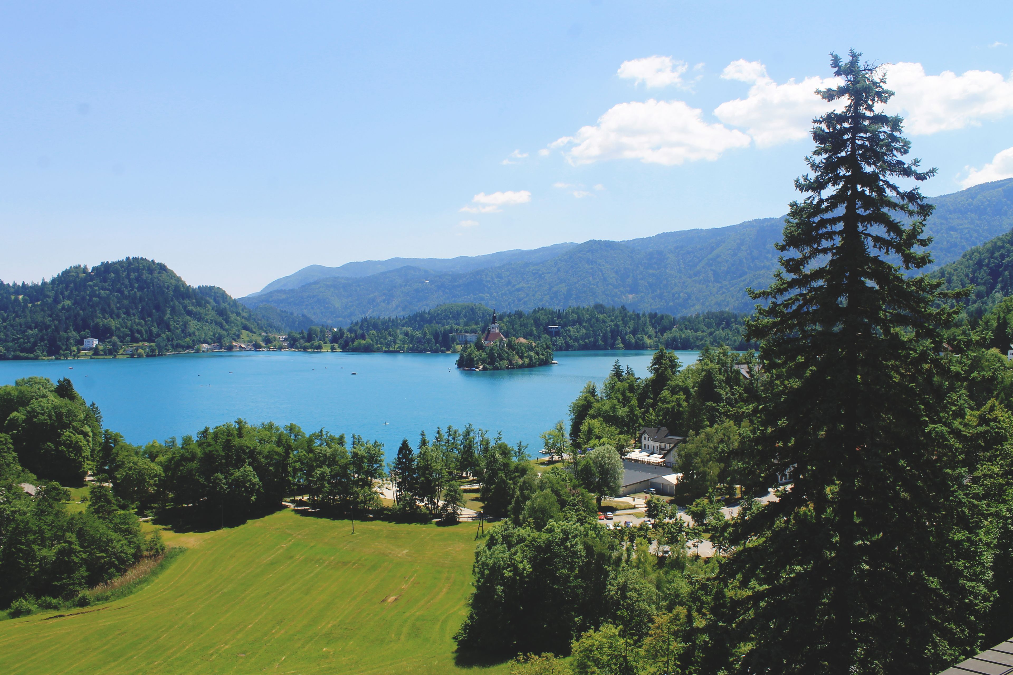 A lake surrounded by mountains and trees, with a large coniferous tree in the foreground.