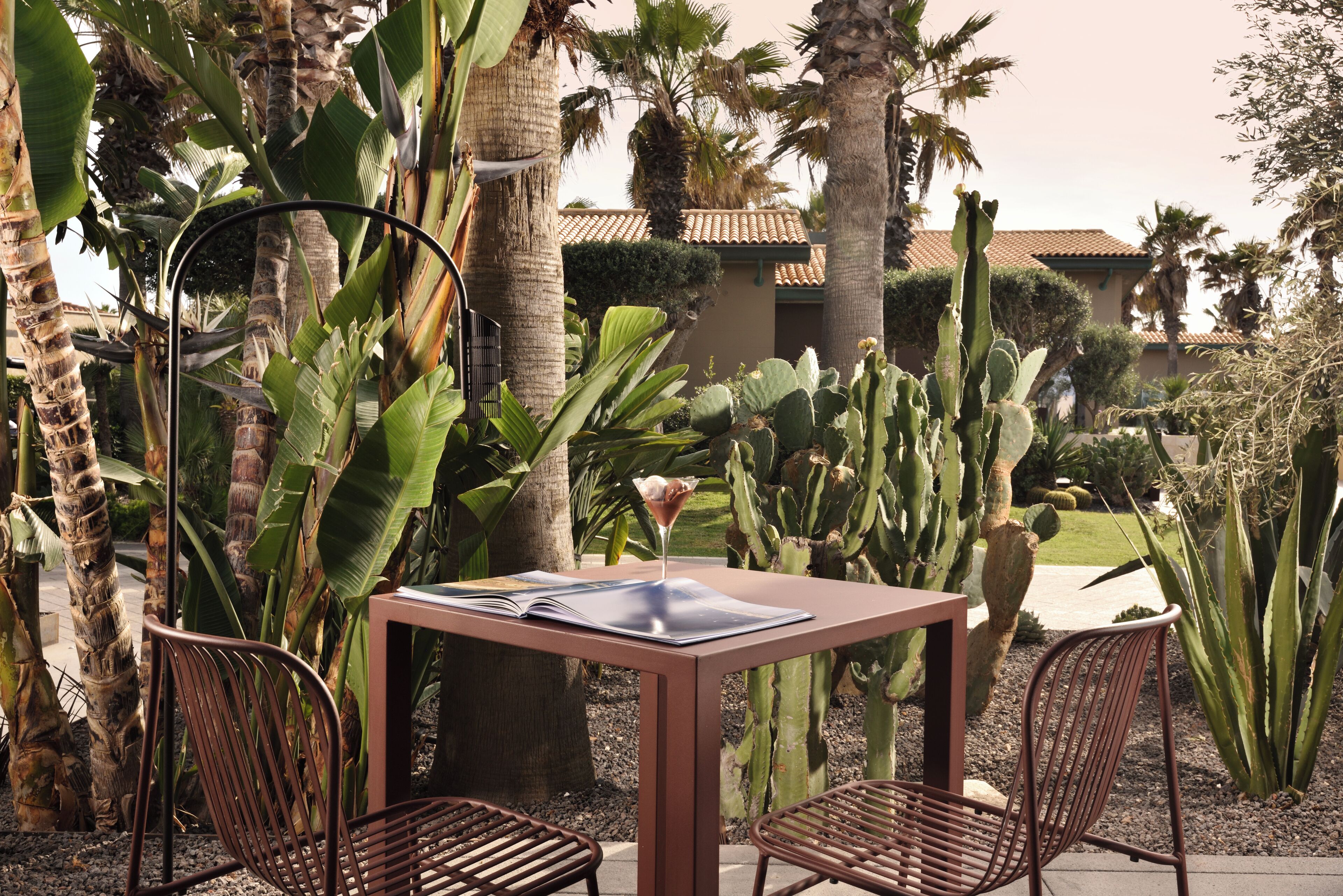 Une table avec un livre et un verre à martini, entourée de cactus et de palmiers.