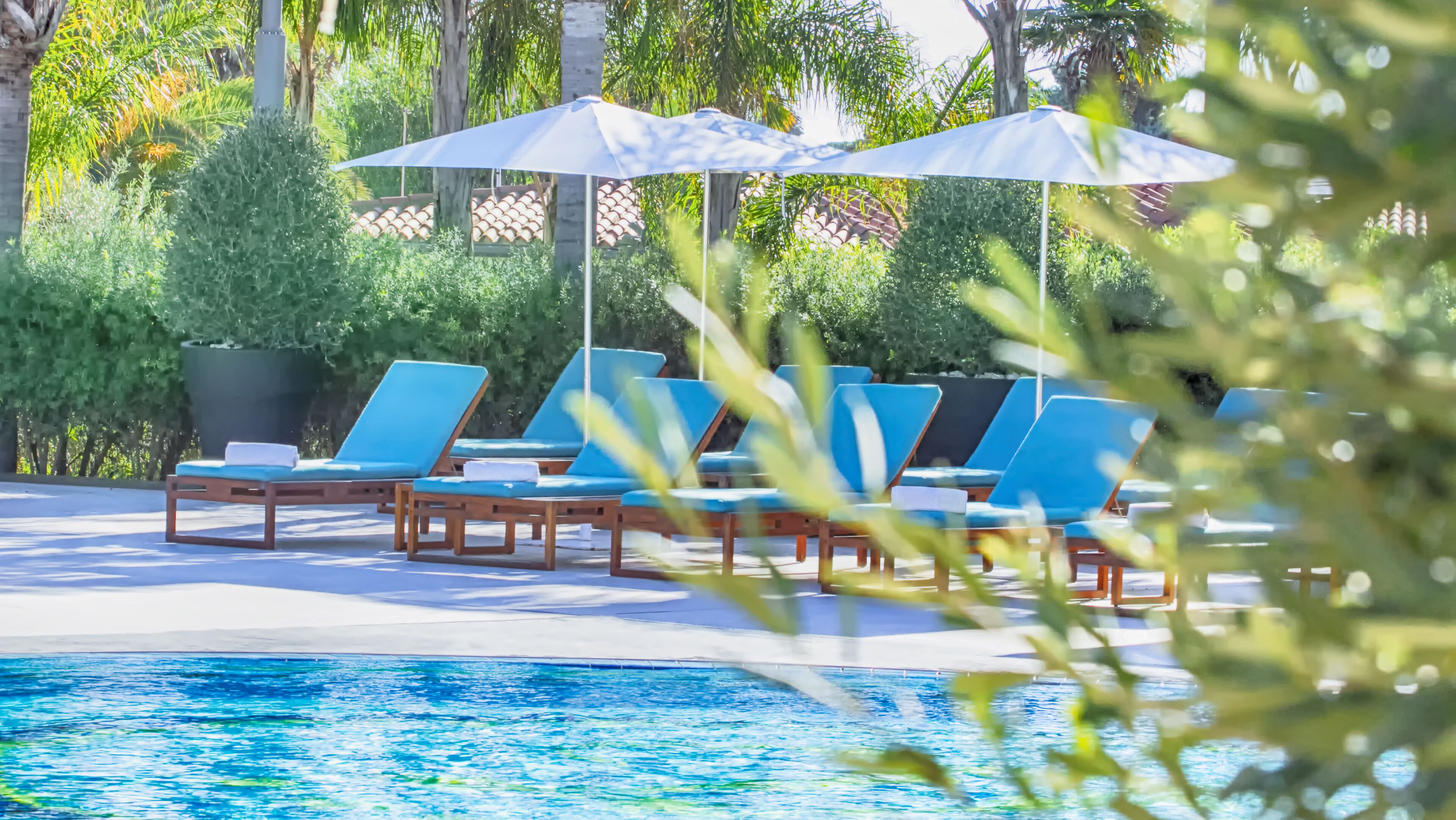 outdoor pool, pool umbrellas, pool loungers