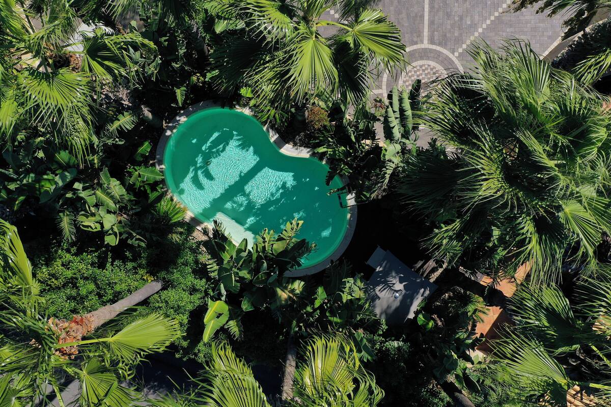 An aerial view of a lush garden with a swimming pool surrounded by dense tropical foliage.