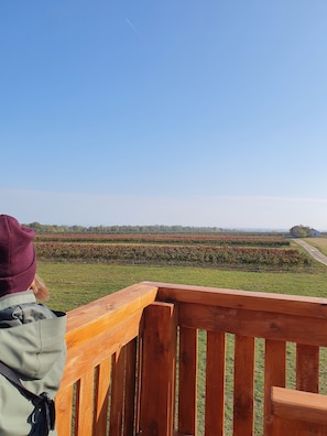 Hiking - Hullám Villa (Balatonmariafurdo)