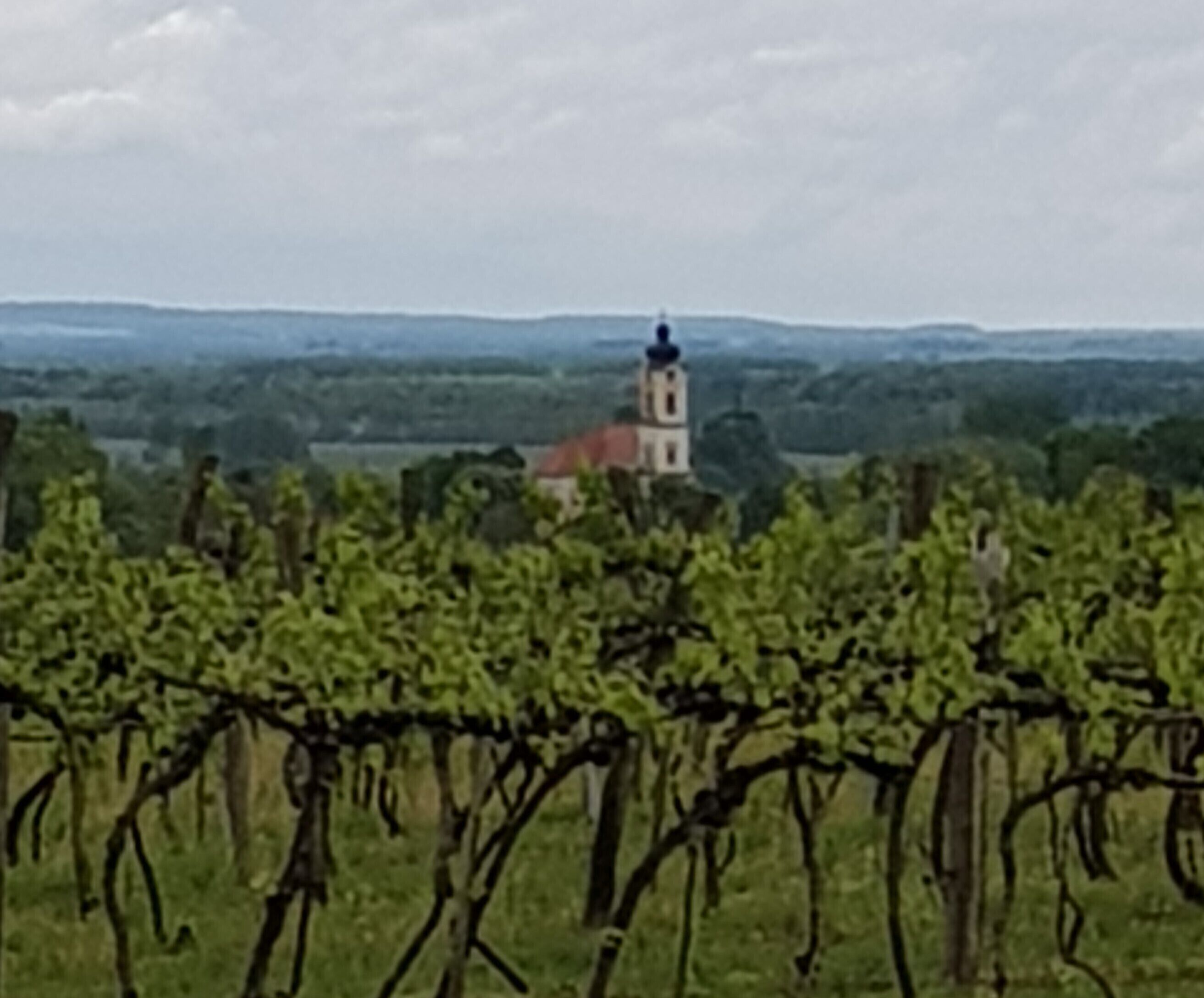 Severdighet