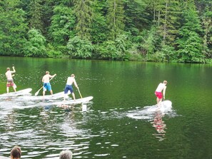 A group of people paddleboarding on a calm lake surrounded by dense green trees. - Jakob (Fuessen)