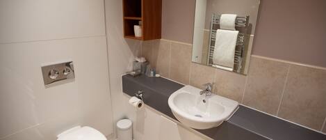 A modern bathroom with a toilet, sink, and mirror.