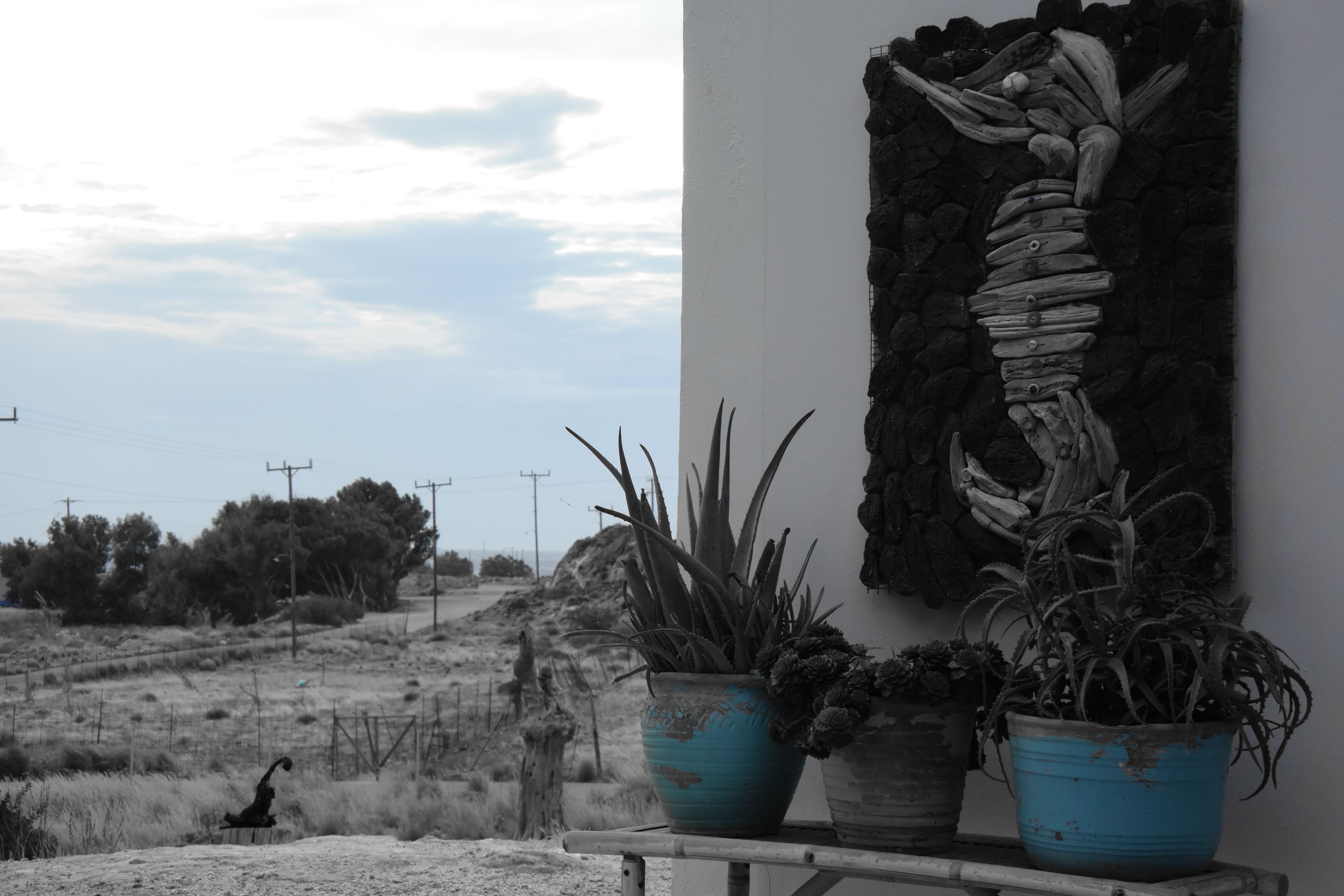 A potted plant arrangement on a balcony with a view of a hilly landscape.