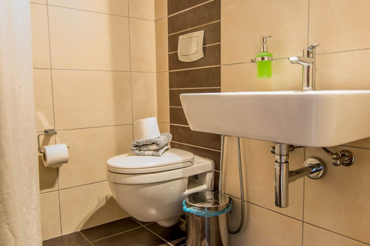 family suite | bathroom | shower, free toiletries, hair dryer, bidet