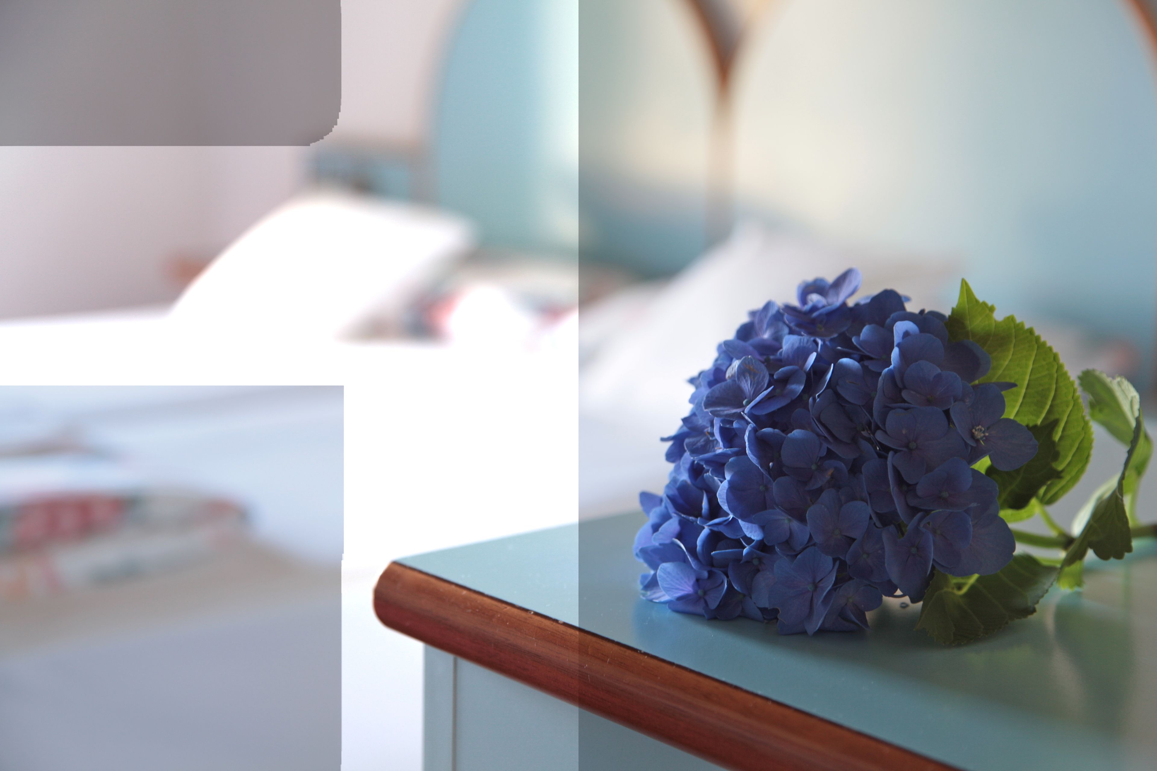 premium bedding, in-room safe, desk, free wifi