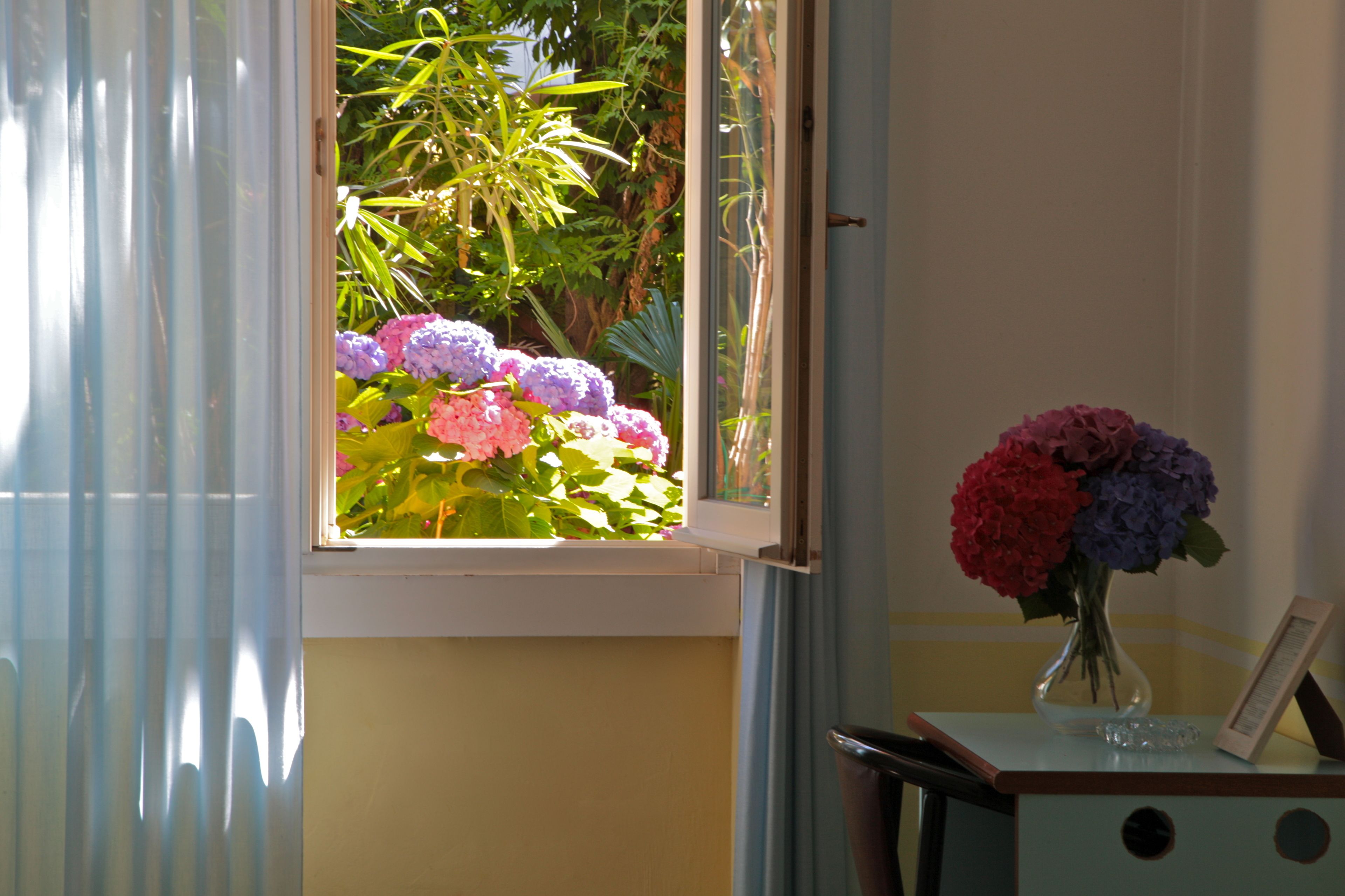 premium bedding, in-room safe, desk, free wifi