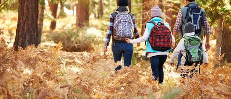 A group of people hiking in a forested area with trees and dry foliage on the ground.