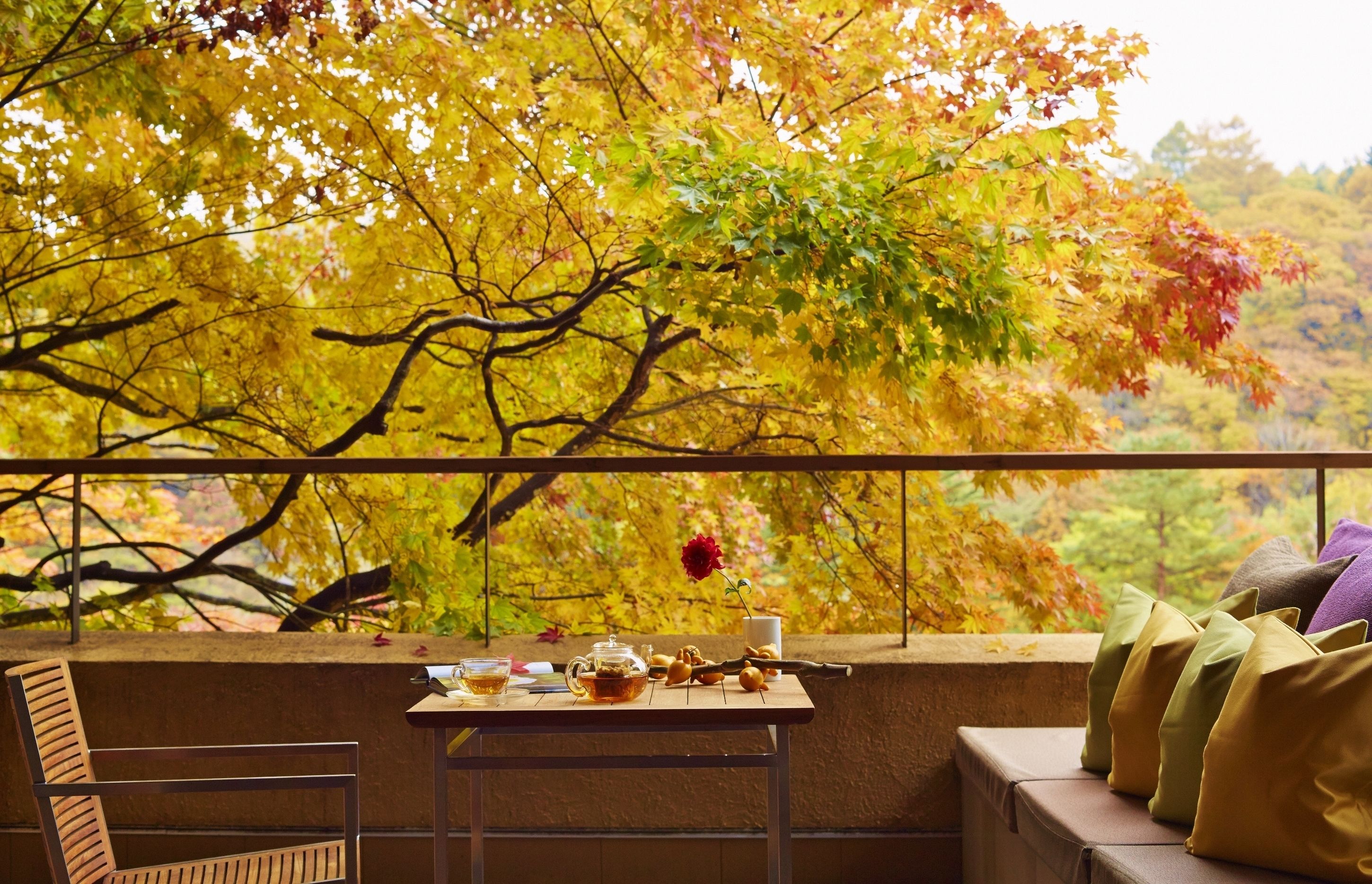 套房, 山景 (2F, Yamaroji ) | 陽台