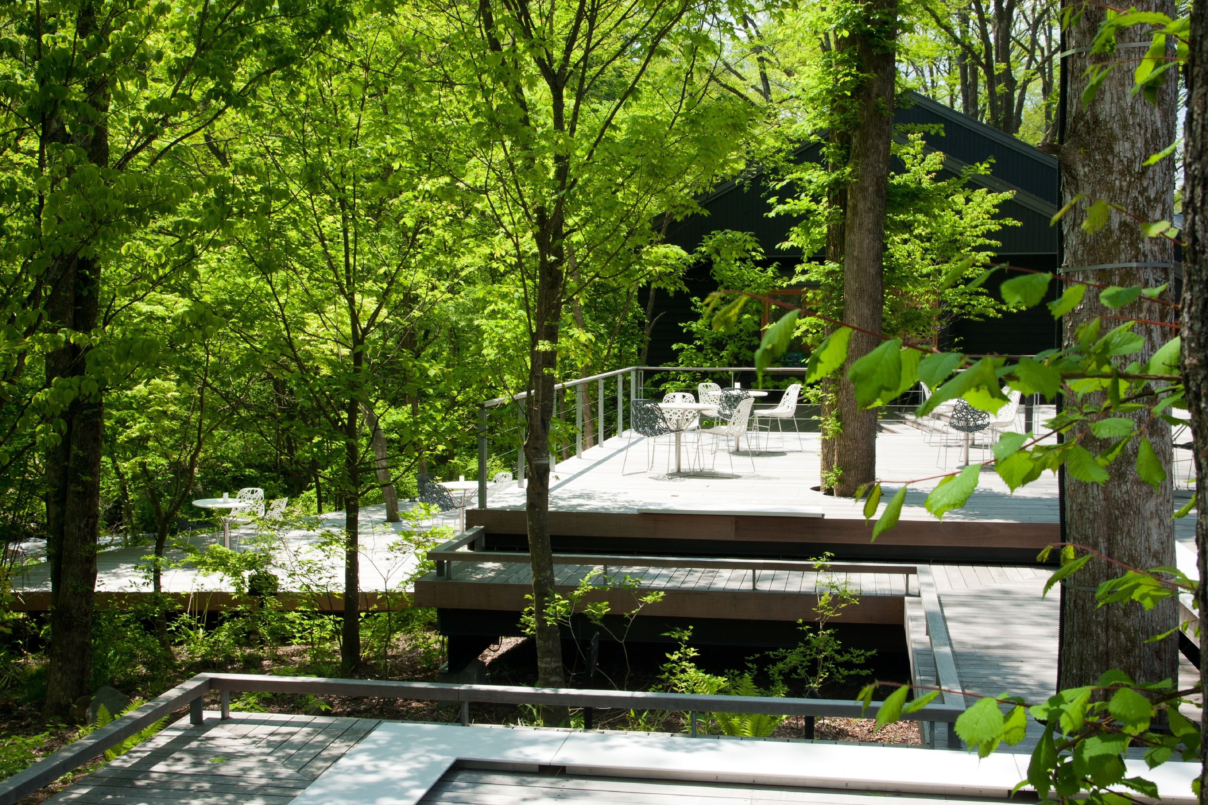 Eine moderne Terrassenausstattung mit Sitzgelegenheiten, umgeben von üppigem Grün und Bäumen.