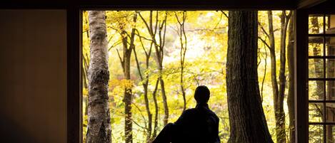 Una persona sentada en un esterilla dentro de una habitación con suelo de tatami, mirando un bosque a través de un gran ventanal.
