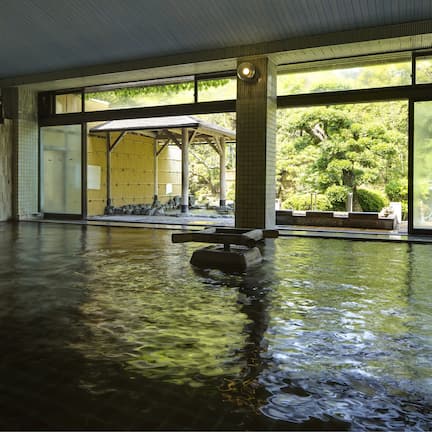 Sauna, aromatherapy, deep-tissue massages, body scrubs, facials