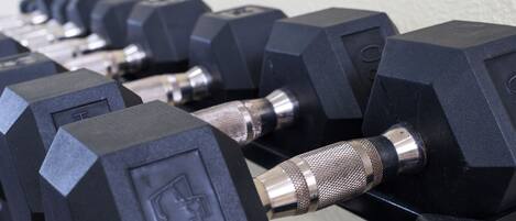 A row of black dumbbells with metallic handles on a rack.