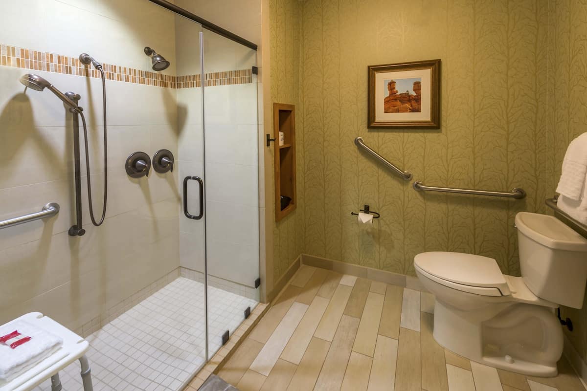 A bathroom with a glass shower enclosure, a toilet, a handrail, and a framed picture on the wall.