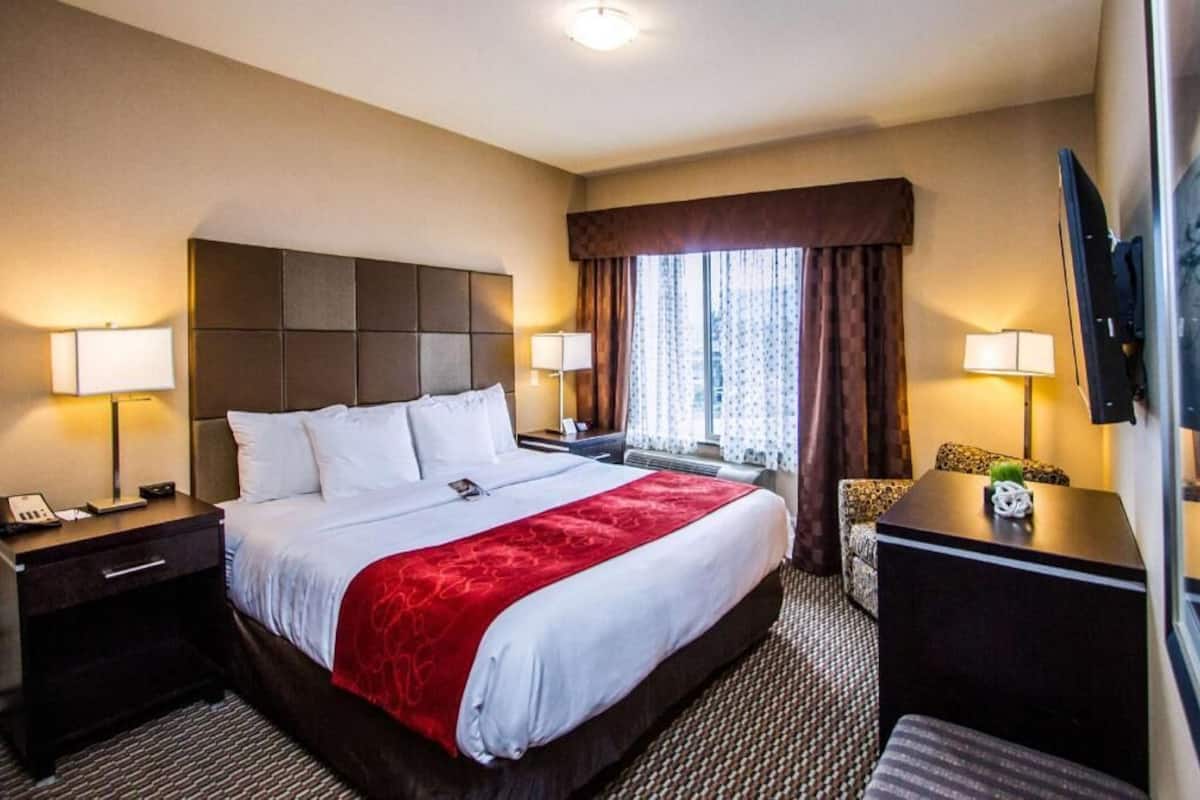 A hotel room with a large bed, two bedside tables with lamps, a flat-screen TV, a window with curtains, and a small seating area with a lamp.