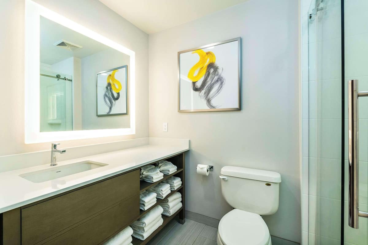 free toiletries, hair dryer, towels