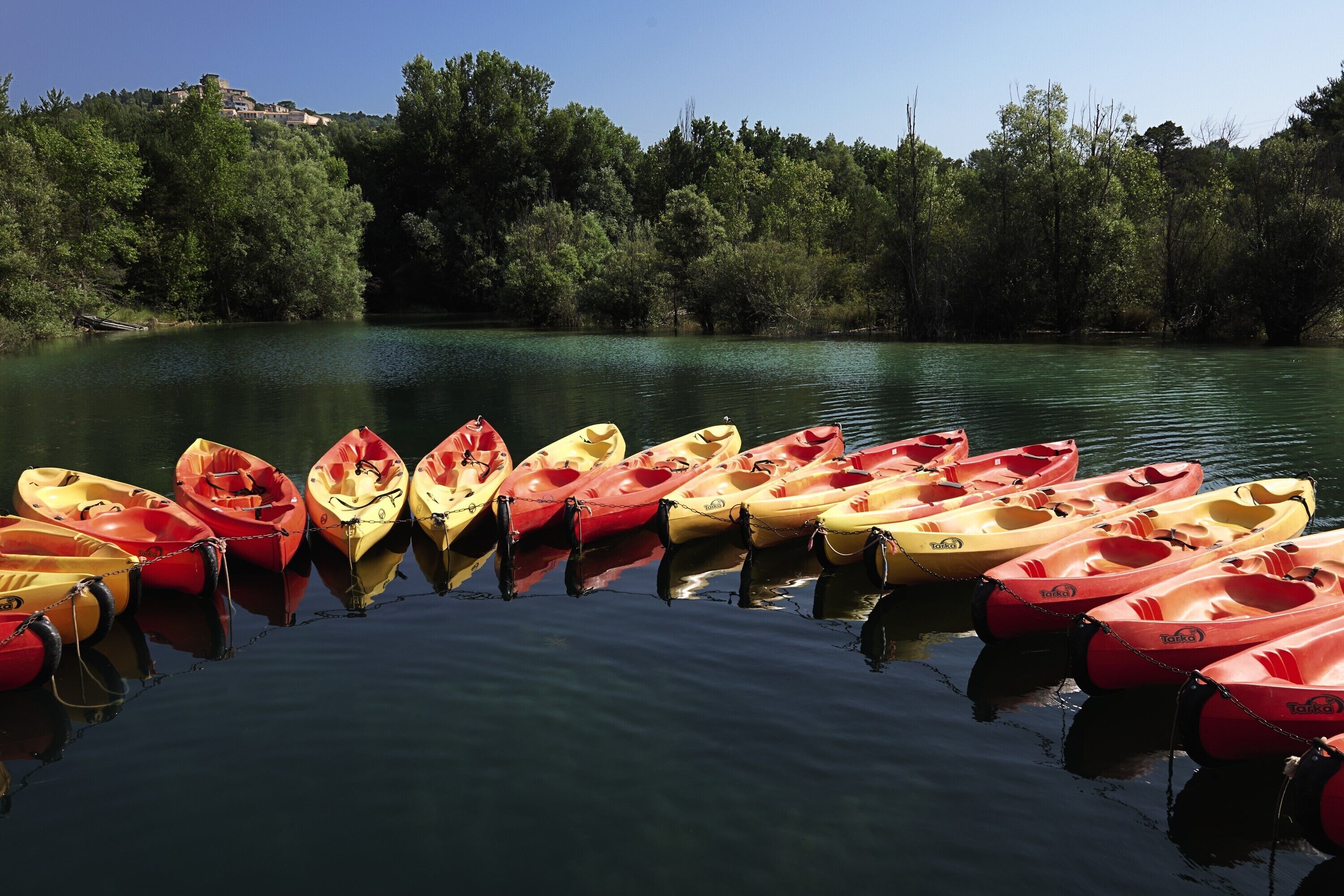 A row of kayaks tied up at the edge of a calm lake surrounded by dense trees.