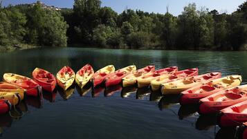 A row of kayaks tied up at the edge of a calm lake surrounded by dense trees.