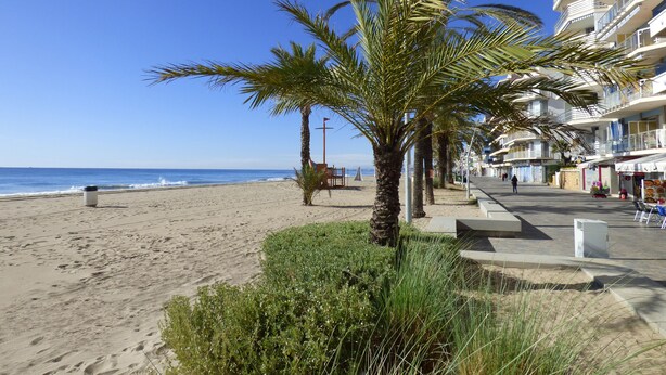 A beachside promenade with palm trees, a sandy beach, and a building with balconies overlooking the ocean. - Apartamentos Costa d'Or (Calafell)