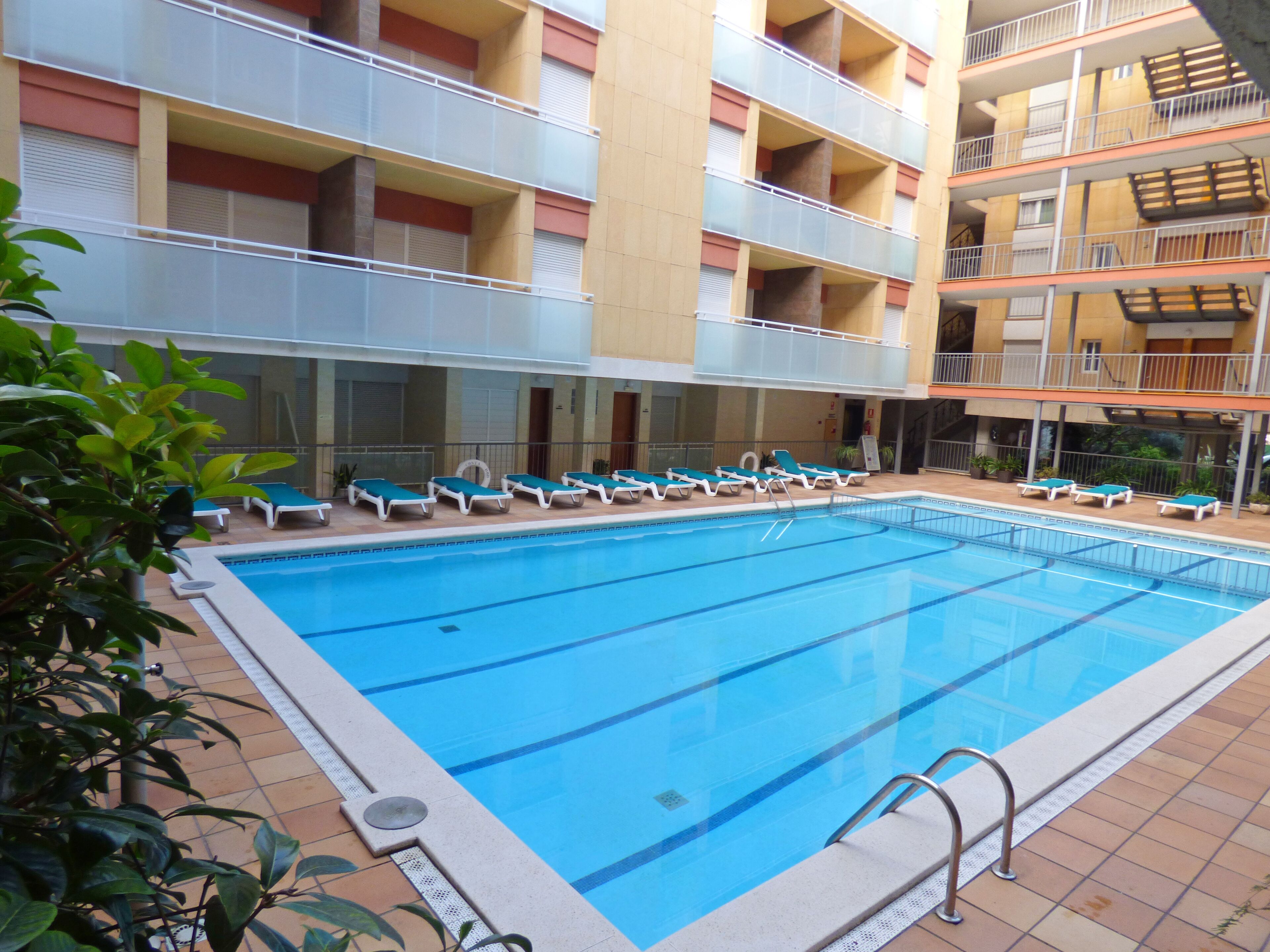 Outdoor pool, open 10:00 AM to 8:00 PM, pool loungers