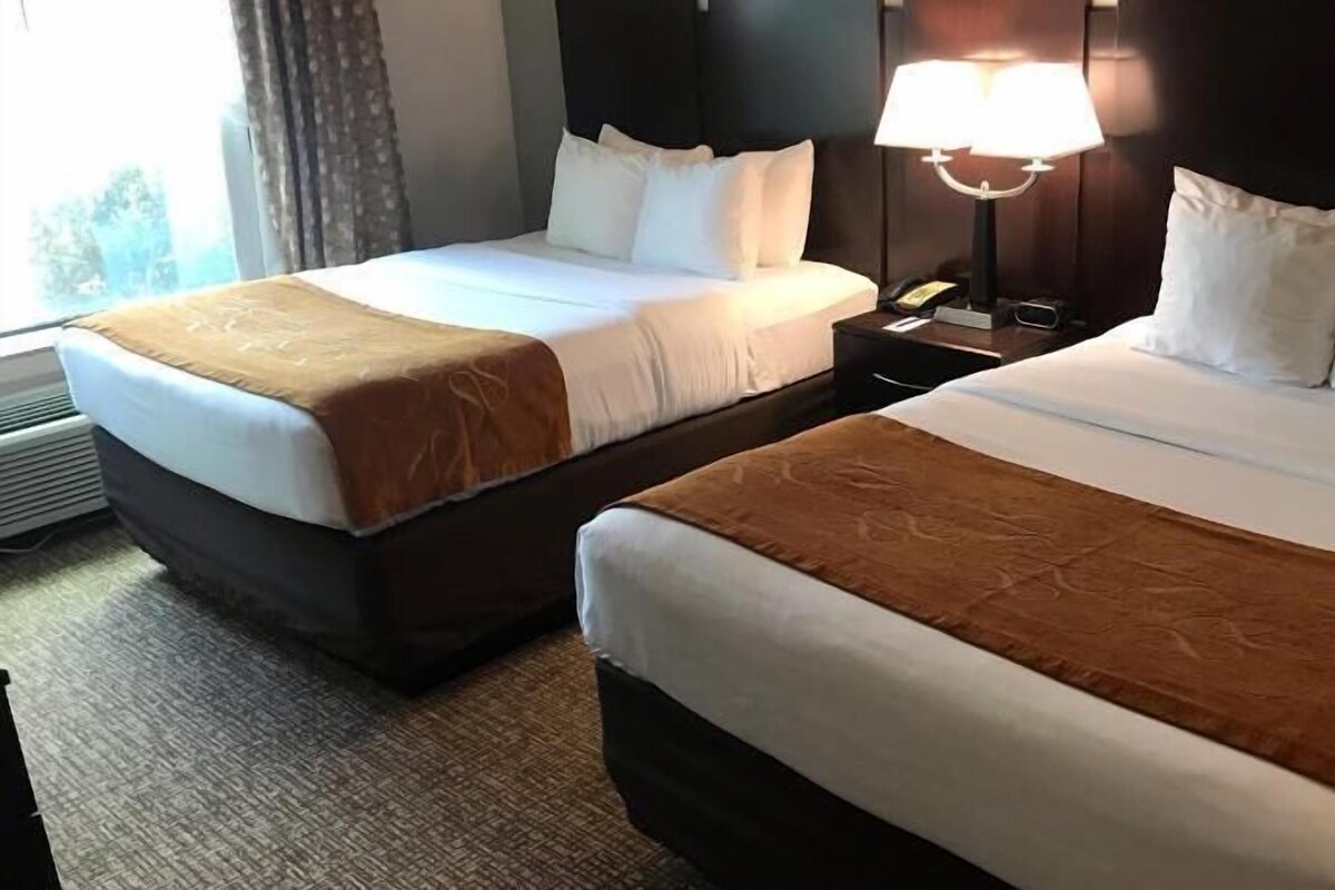 Two adjacent beds with headboards, a bedside table with a lamp, and a window with curtains.