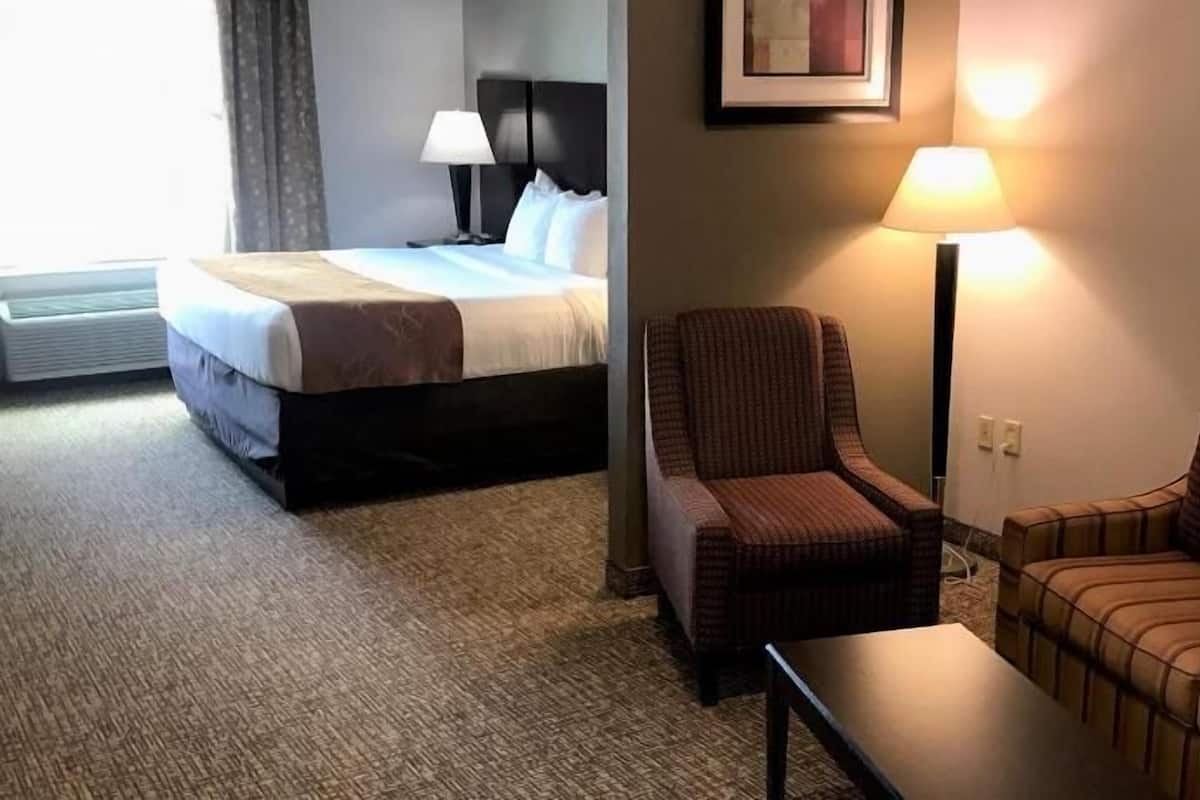 A hotel room with a bed, a chair, a sofa, a lamp, and a framed picture on the wall.