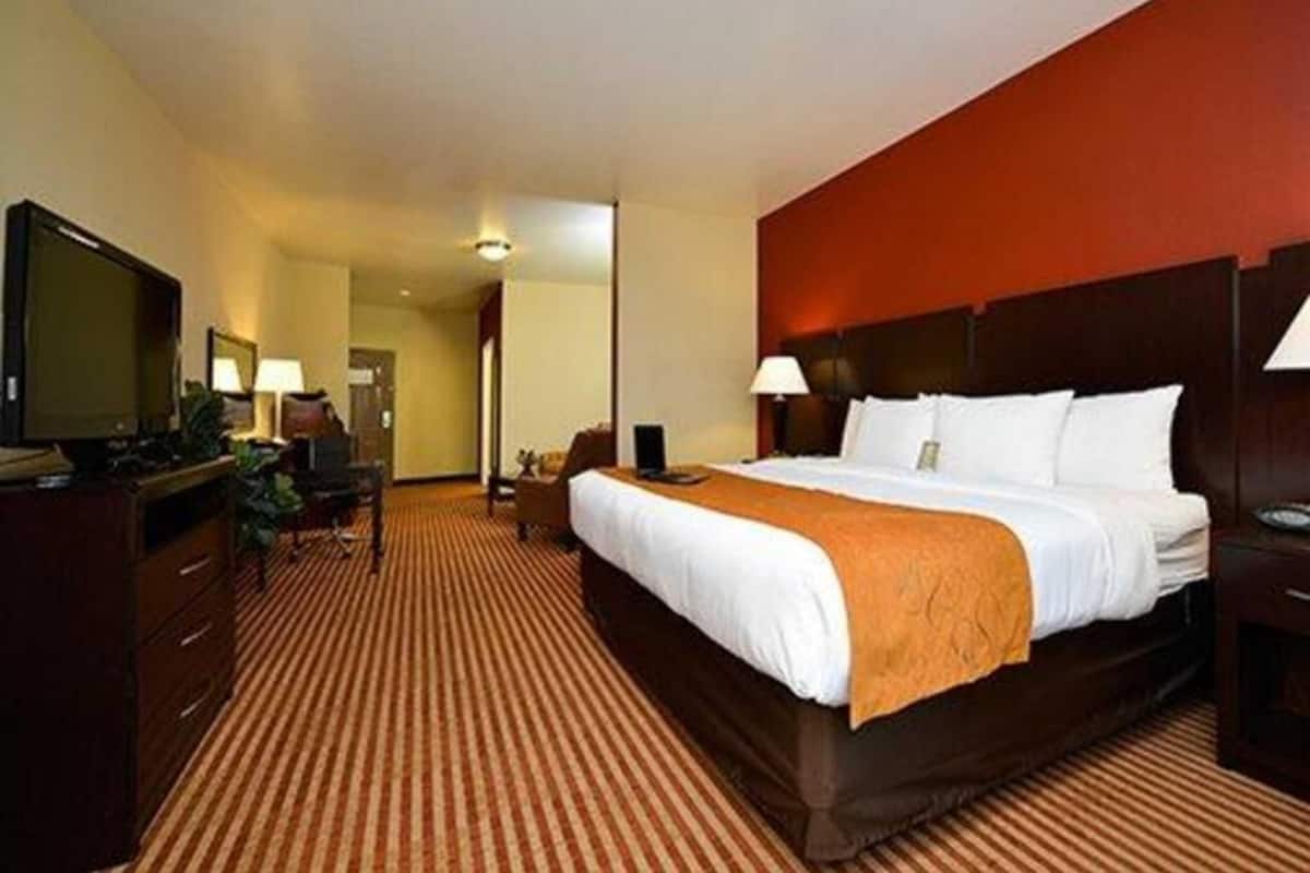 Hypo-allergenic bedding, desk, laptop workspace, blackout drapes