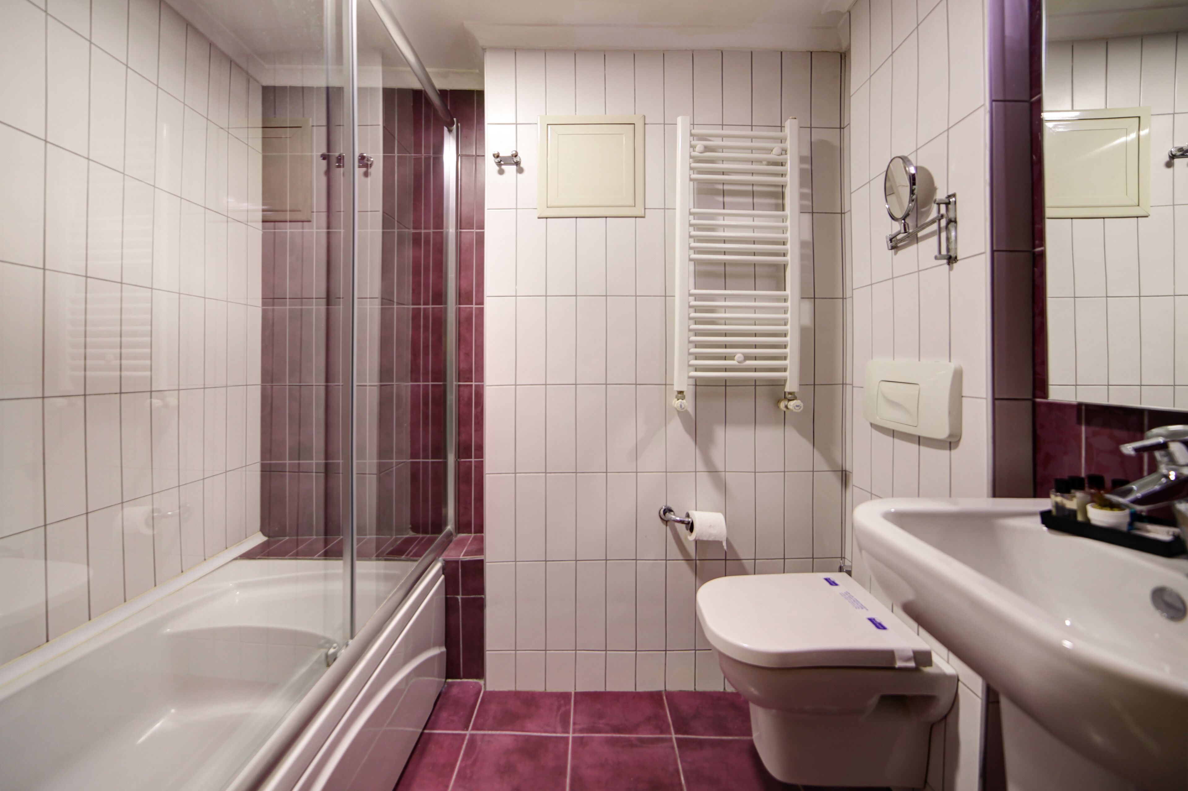 A bathroom with a glass-enclosed shower, a white toilet, and a sink with a mirror above it.