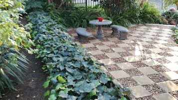 Vườn