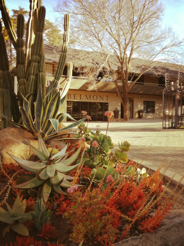 Front of property - Belmont Guesthouse (Bloemfontein)