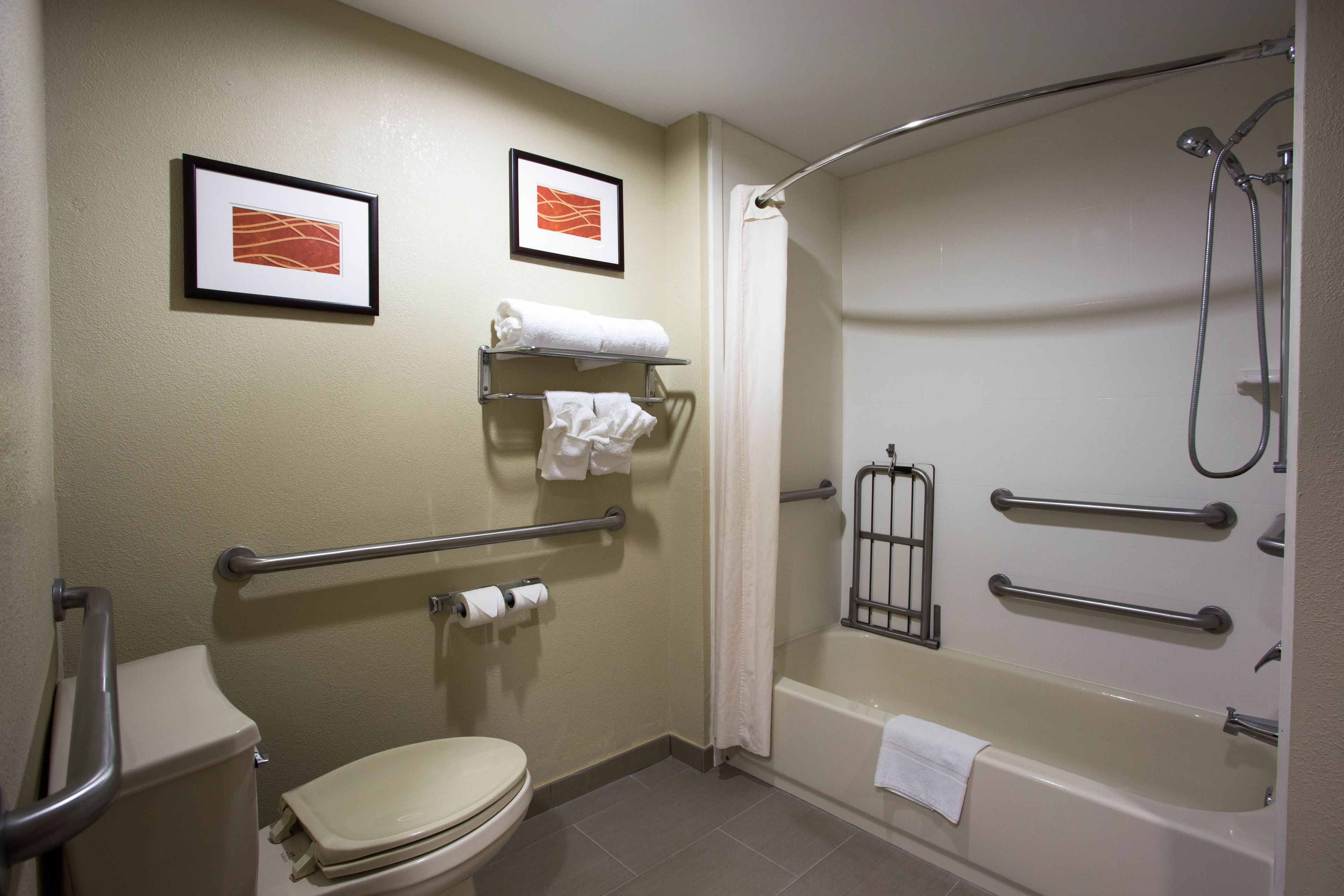 suite, accessible, non smoking | bathroom shower