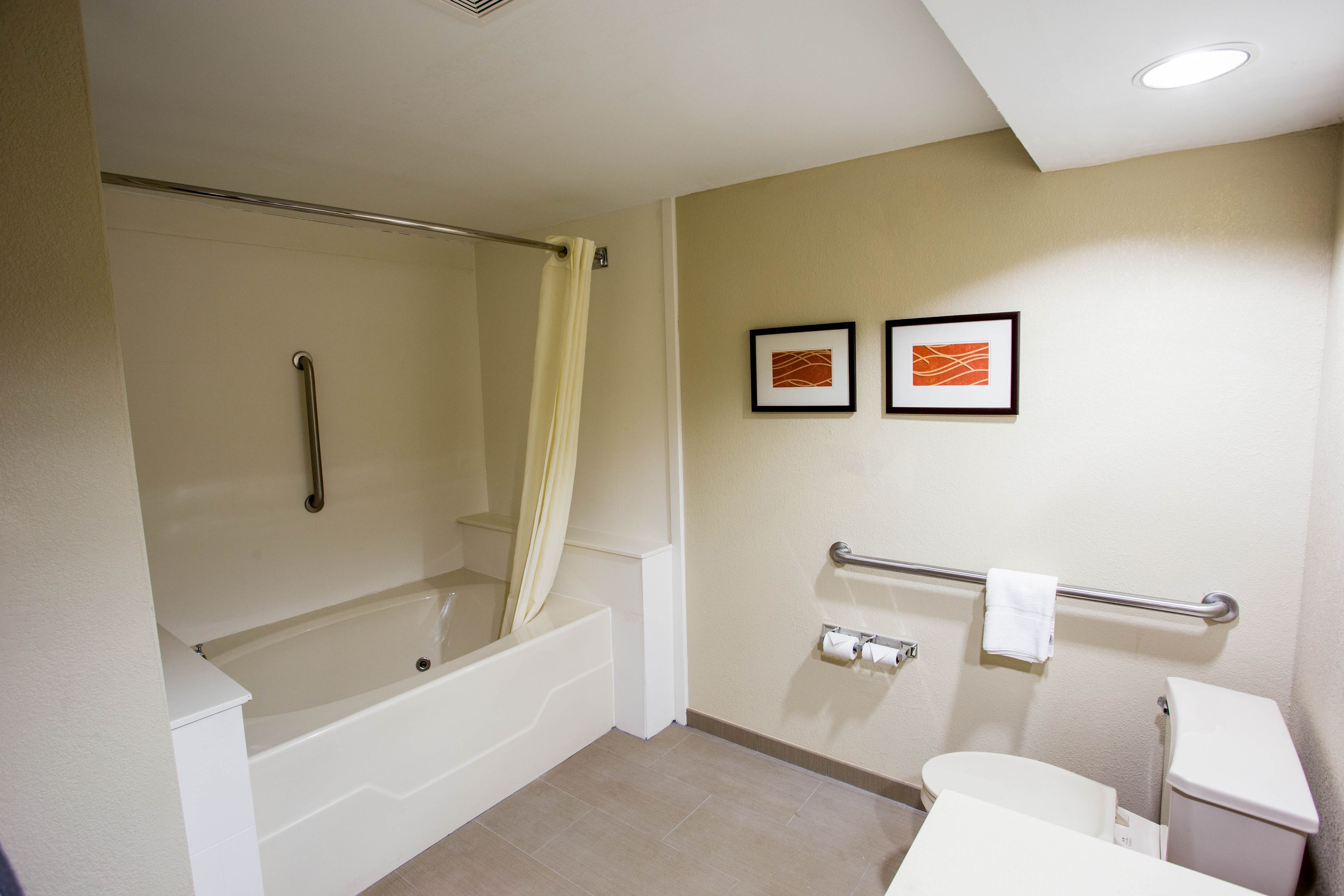 suite, accessible, non smoking | bathroom shower