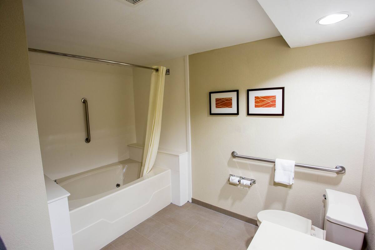suite, accessible, non smoking | bathroom shower