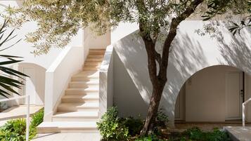 Una escalera conduce a un nivel superior, rodeada de paredes blancas y un árbol.