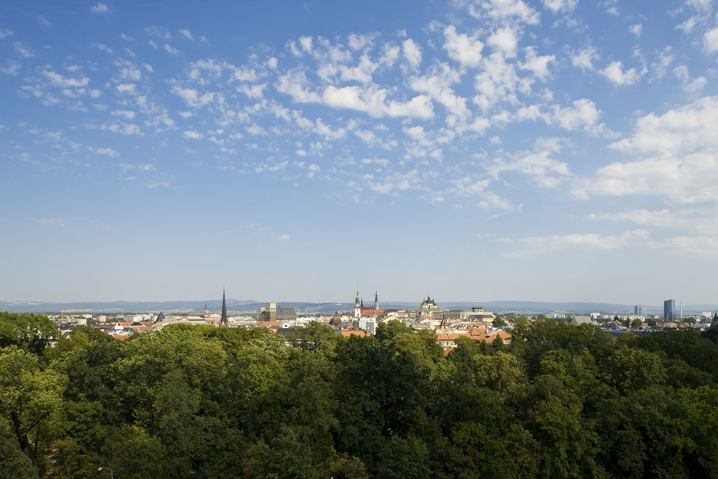 A cityscape with a prominent church spire, dense green trees in the foreground, and a clear blue sky with scattered clouds.