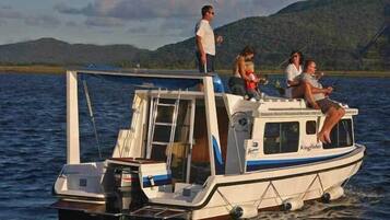 ハウス ベッド (複数台) | セーフティボックス (室内)、可動式ベッド