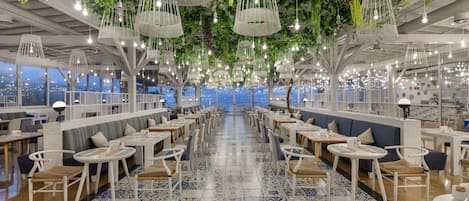 Dinner served, Italian cuisine