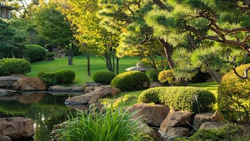 Japanese garden